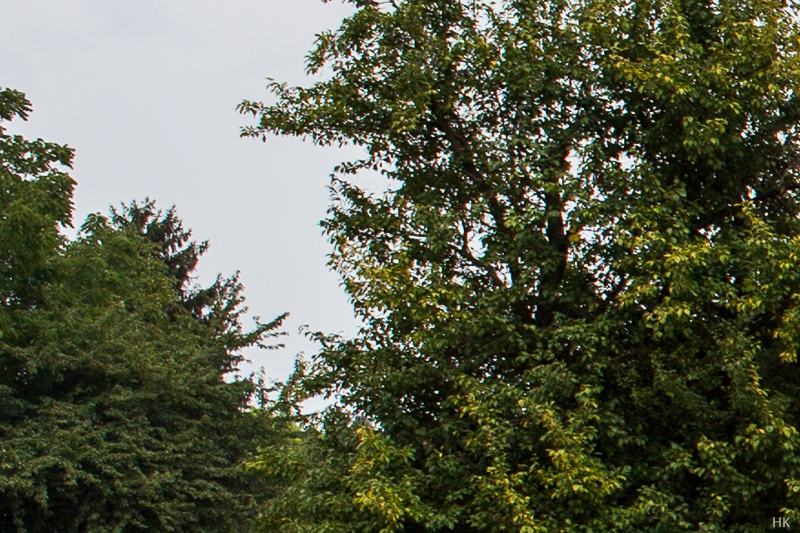 Datei:OM 40 Helge 18.jpg