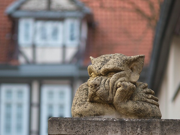 Datei:CompOM100mm f2.8P3298493500kb.jpg