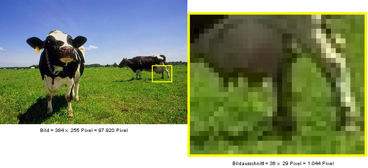 Pixel im Bild werden sichtbar beim Vergrößern