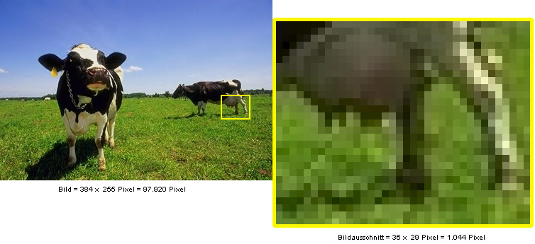 Pixel im Bild werden sichtbar beim Vergrößern