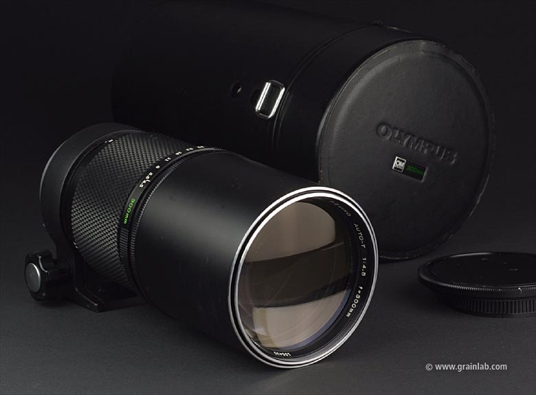 Datei:F 300 4.5 Sn grainlab 1.jpg