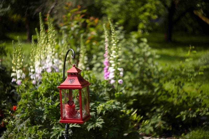 Datei:Bokeh Biotar 2 58 Schoberth.jpg