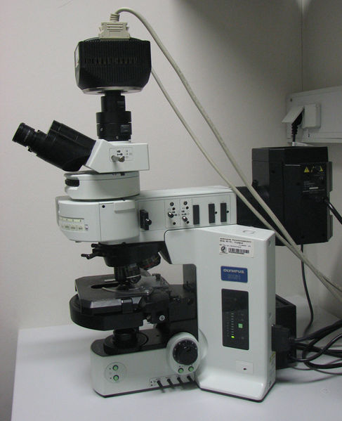 Datei:Fluorescence microscop.jpg