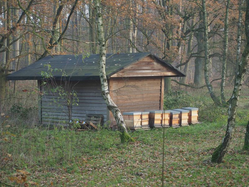 Datei:Olympus E-PL5 rudolfo4 B4.JPG