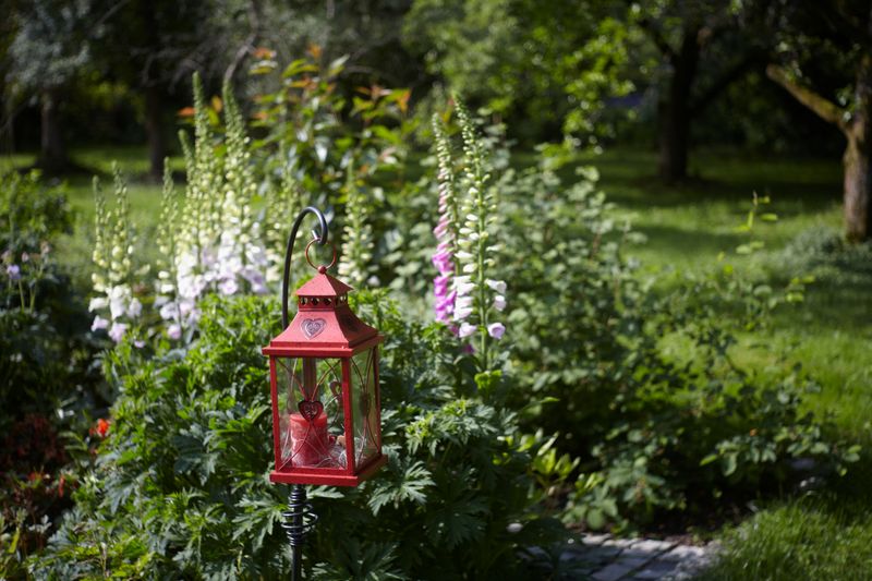 Datei:Bokeh Tessar 2.8 50 Schoberth.jpg