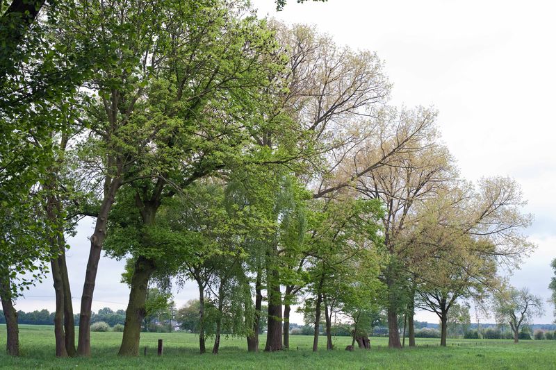 Datei:50 1.8 Blende 8 2.jpg