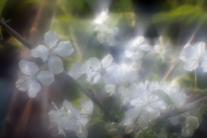 Datei:Blende 4 dreamagon rudolfo4.jpg