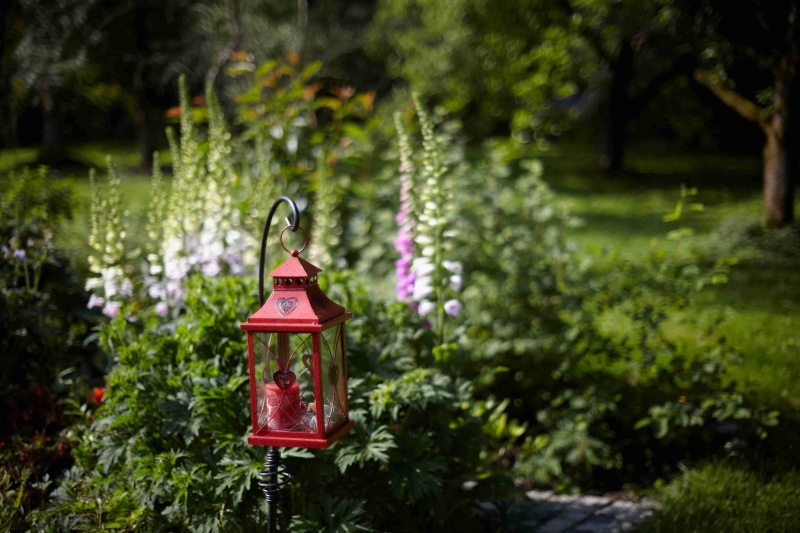 Datei:Bokeh Zuiko 1.4 50 Schoberth.jpg
