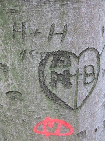 Datei:Canon G1X Rudolfo4 Baum.jpg