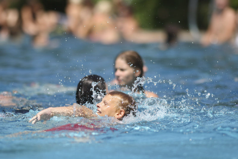 Datei:Vogelbetrachter 05.jpg