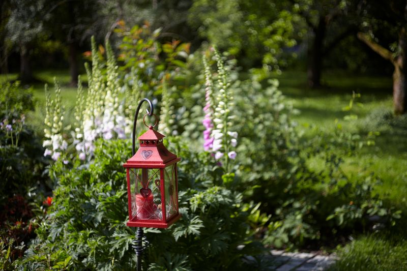 Datei:Bokeh Ultron 1.8 50 Schoberth.jpg